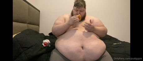 pudgypie ポルノモデル 画像