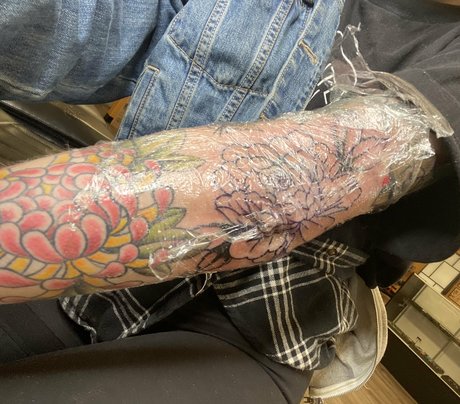 seitansm1stress 最高の女優 ギャラリー