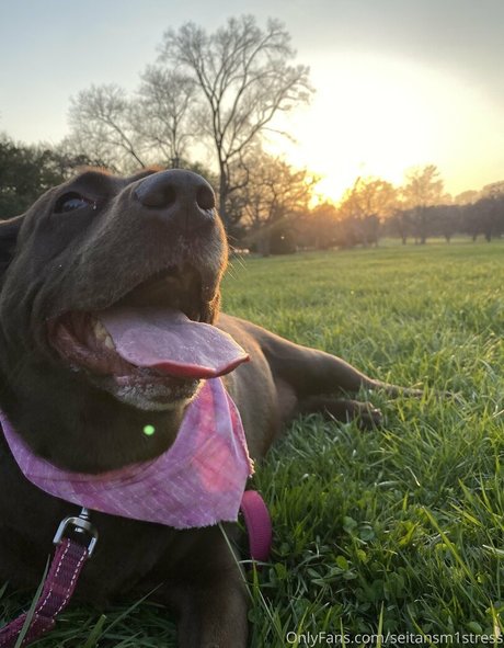 seitansm1stress 裸の女優 写真