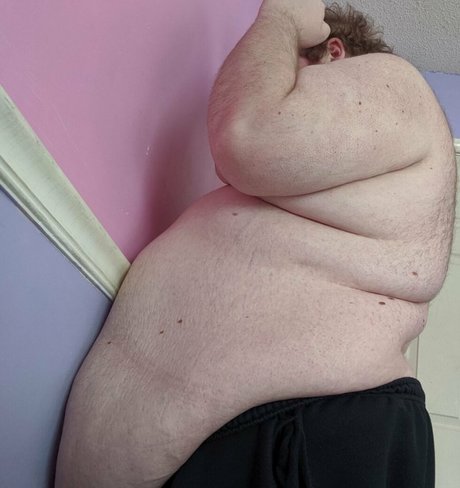 zadyas toybox アートスター 写真