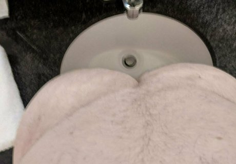 zadyas toybox profile image