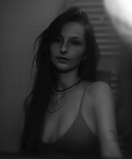 Caponce HDモデル アーカイブ