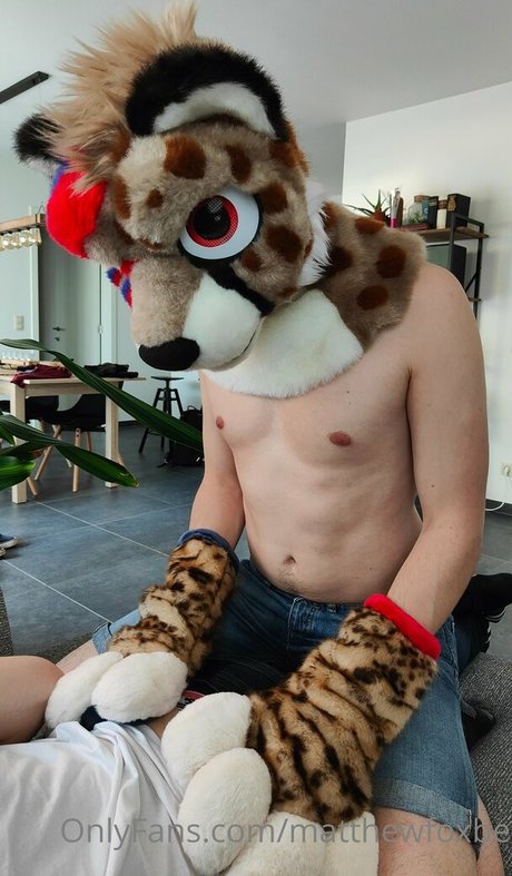 シーンオンリーファン 美しい 写真