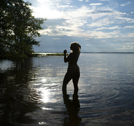 hesselbom 高品質のスター 画像