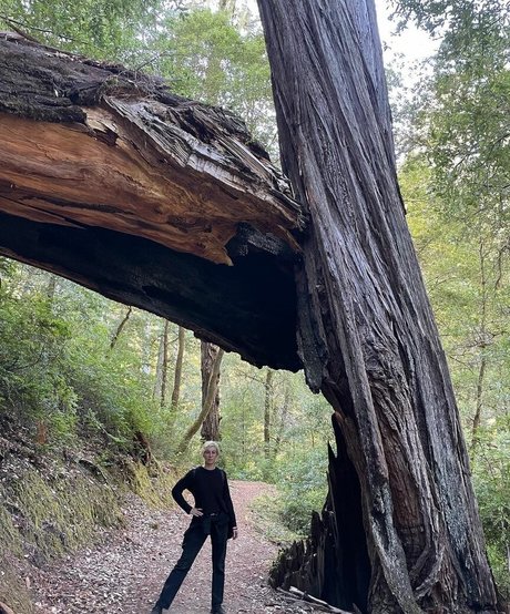 DanikaXIX エロティックなスター ギャラリー