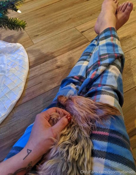 stormydaniels スター ヌード 写真