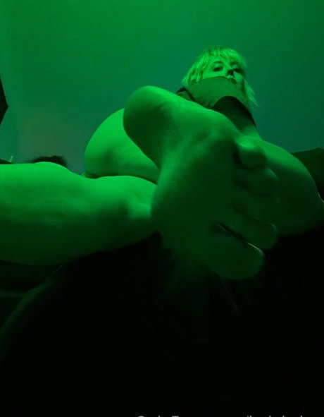 holykoley HDスター 写真