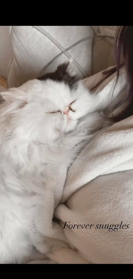 sweetcarolineee ヌードモデル 画像