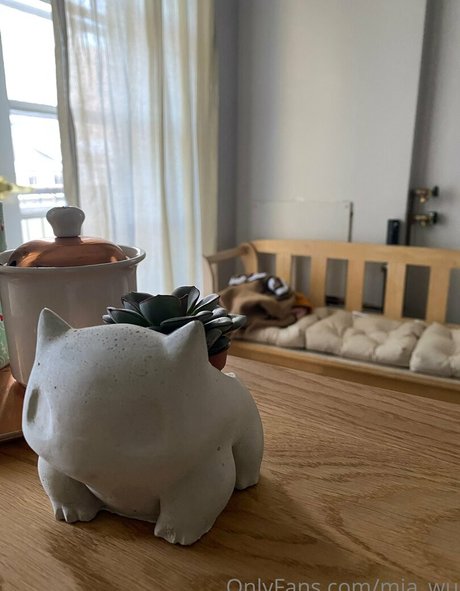 mia wu ヌード女優 画像