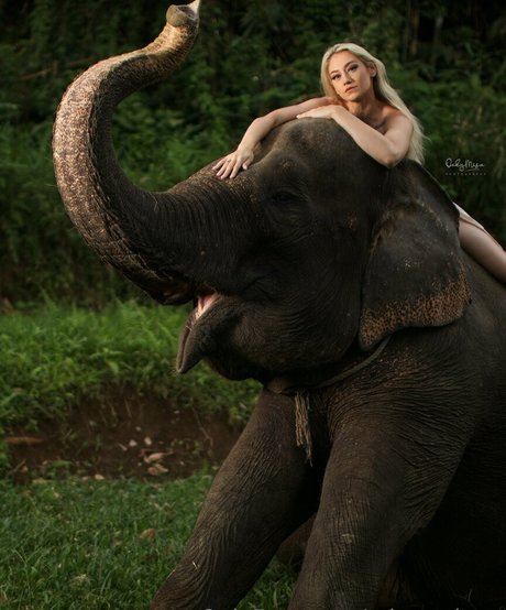 BBCパブリックOnlyFans 限定 ギャラリー