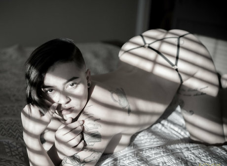 focus boudoir アートスター 写真