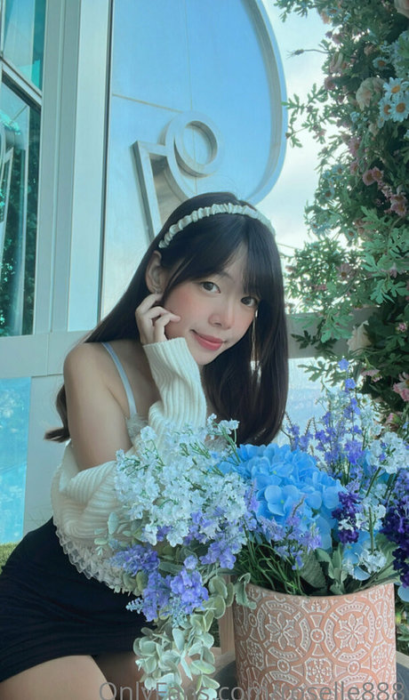 roselle888 美しいスター 写真
