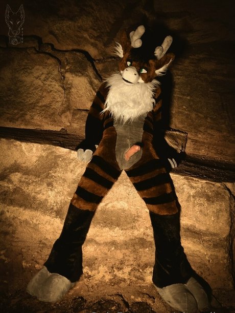 pitourikou ポルノスター 素敵 ギャラリー