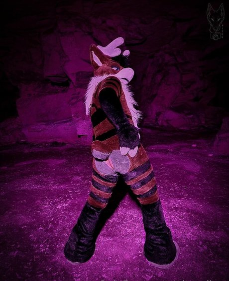 pitourikou ポルノスター 写真