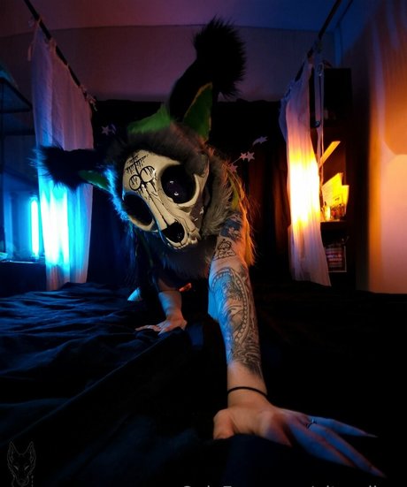 pitourikou ポルノスター アダルト 写真