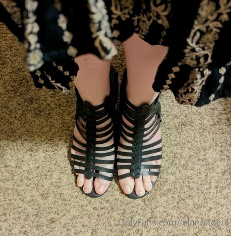 lelannifeets トップスター 写真