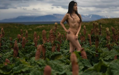 Stephanie Pham スター ヌード 画像