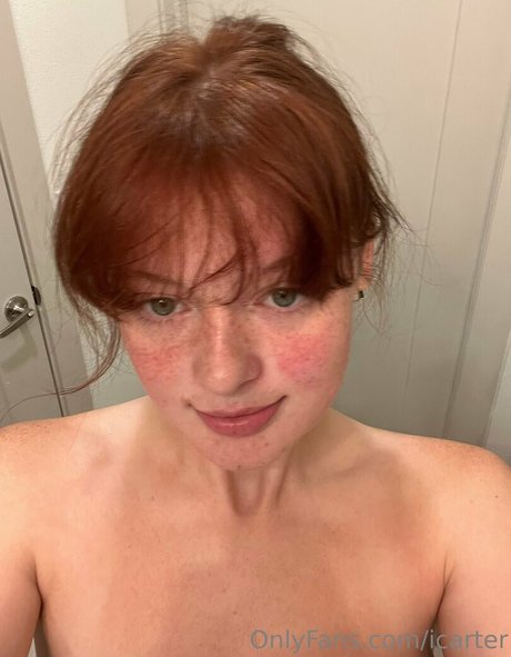 icarter HDモデル 画像