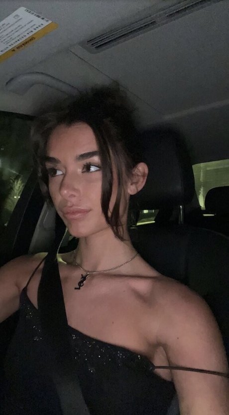 Schlenker Sisters 完璧なモデル 写真