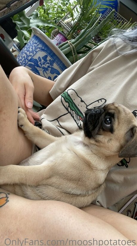 mooshpotatoes 独占モデル ギャラリー