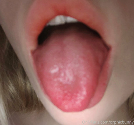 アーミーガールズオンリーファン パーフェクト ギャラリー