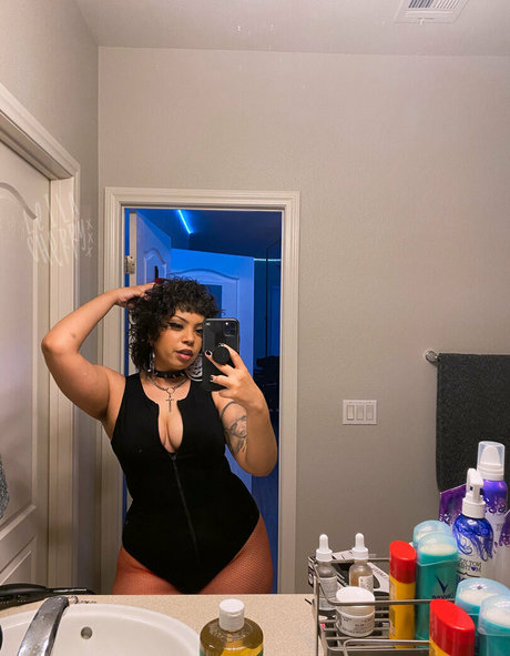 自然のみファン パーフェクト ギャラリー