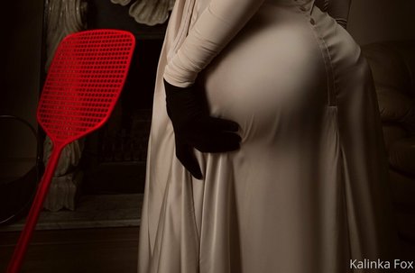 kalinkafox HDモデル 写真