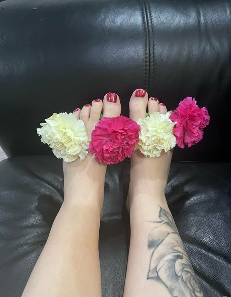 acebosswoman ポルノスター ギャラリー