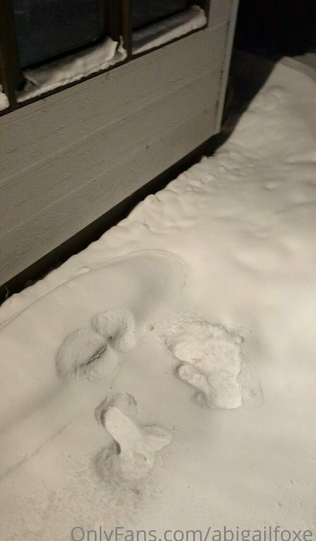 abigailfoxe アダルトスター 画像