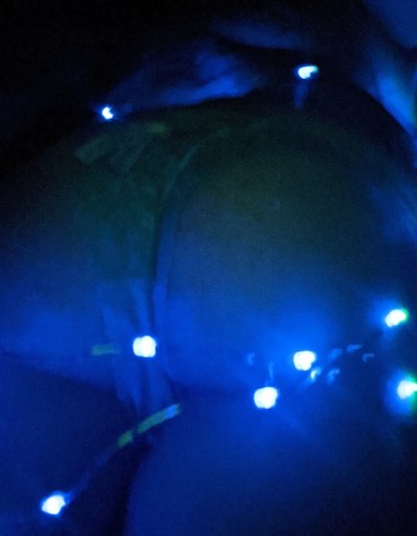 mijizzle 高品質のスター 写真