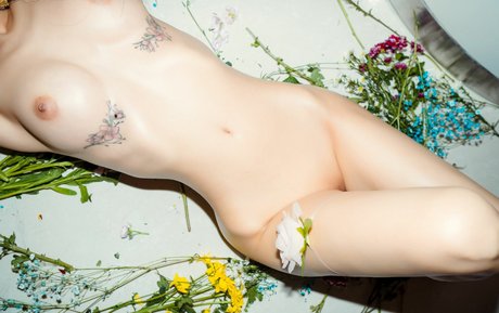 leeeee mona セクシー女優 アーカイブ