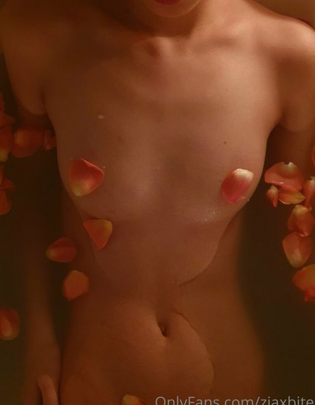 Ziaxbite Nackt OnlyFans