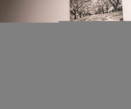 Jessica Kylie OnlyFans XXX