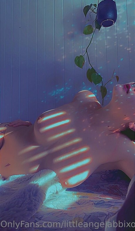 Little angel abbi Nur für Fans