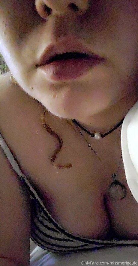 MissMeriGould Profilbild