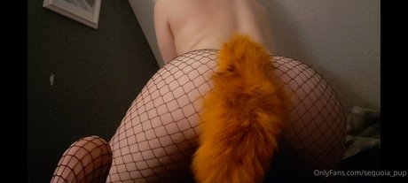 sequoia pup Nackt OnlyFans Porn