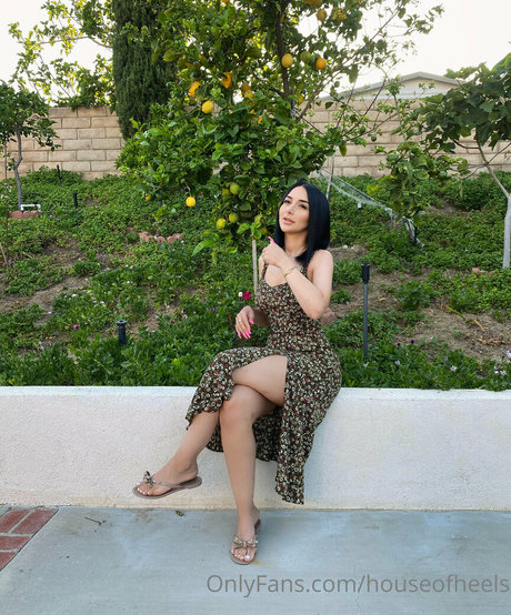 jo ashh OnlyFans Nacktbilder