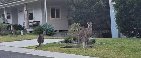 tammycheeks Neue OnlyFans Leaks