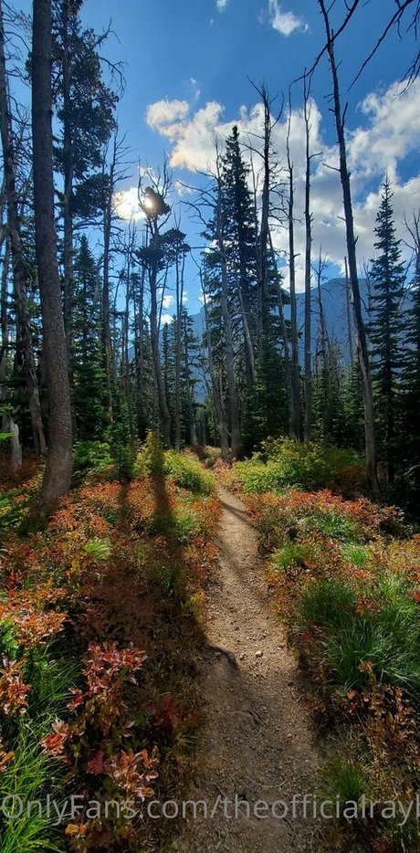 theofficialraybaby Kostenloses OnlyFans