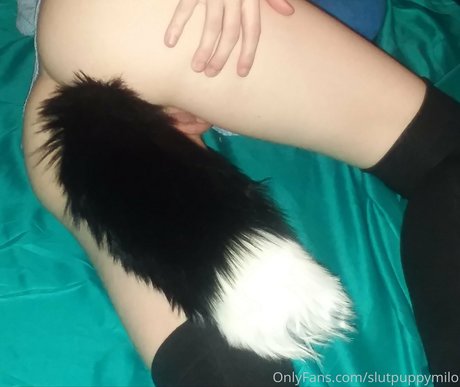 slutpuppymilo Nacktbilder von OnlyFans