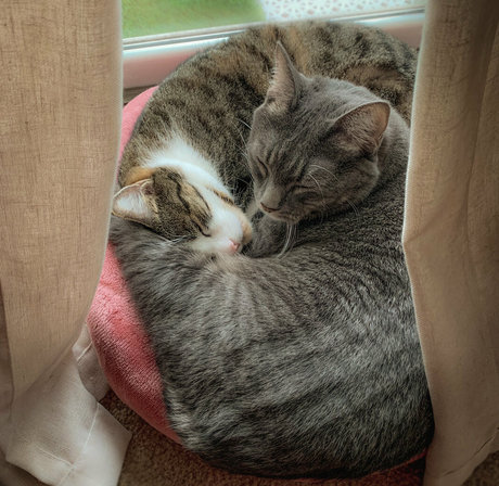 jadeleigh Nacktpornos auf OnlyFans