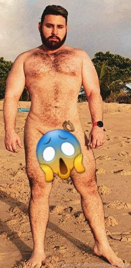 brazildaddybearfreepage OnlyFans-Bilder