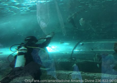 amandadivine OnlyFans Leak