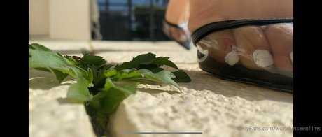 worldunseenfilms Neue OnlyFans Leaks