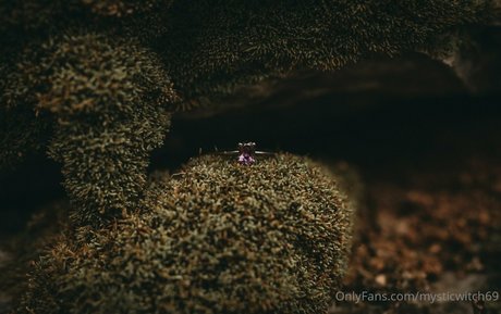mysticwitch69 OnlyFans Nacktfotos