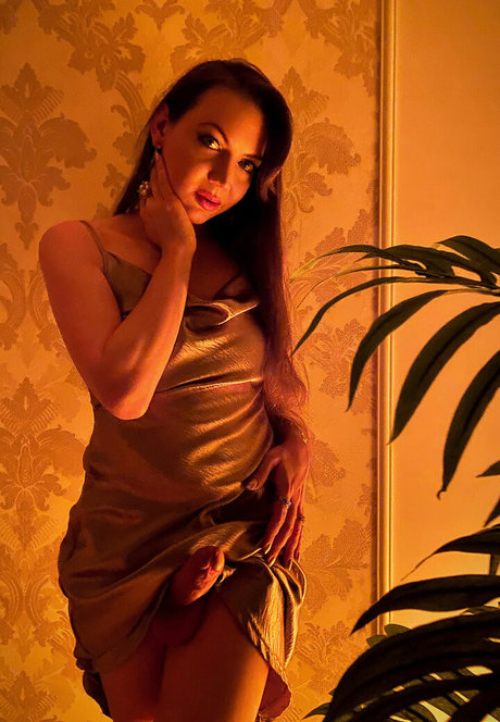 shemalekaterina OnlyFans-Sex