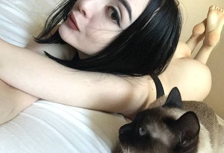 shadowshine5 Nacktbilder von OnlyFans