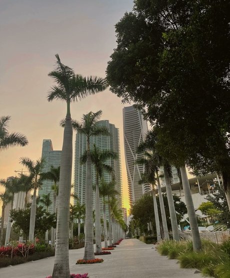 Leslie Sanchez OnlyFans nackt