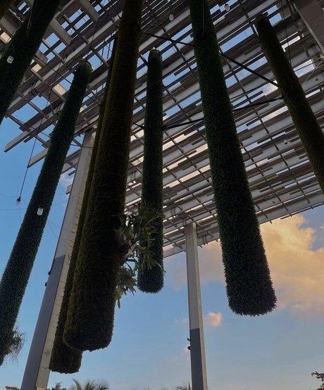 Leslie Sanchez OnlyFans XX