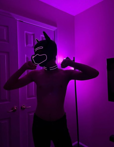 pup haze Nackt OnlyFans